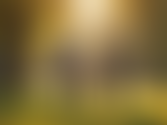 Collaborative Photography Sessions: Your Vision, Our Expertise