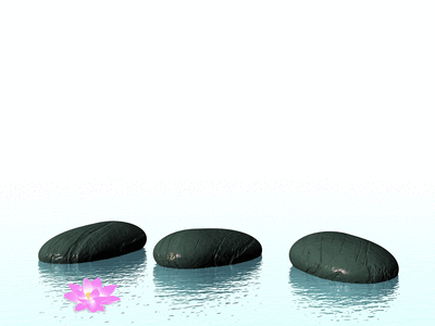 zen.gif