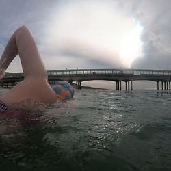 Block of 4 images showing swimmer heading to the pier.