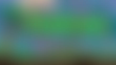 Terraria vs. Minecraft