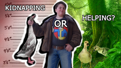 Markus Petrusis, Animal Kidnapper or Animal Rescuer?