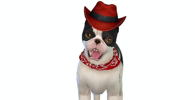 Buster Von Duke
