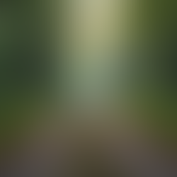 The Crossroad of Change: Overcoming the Pain of Staying the Same in Addiction Recovery