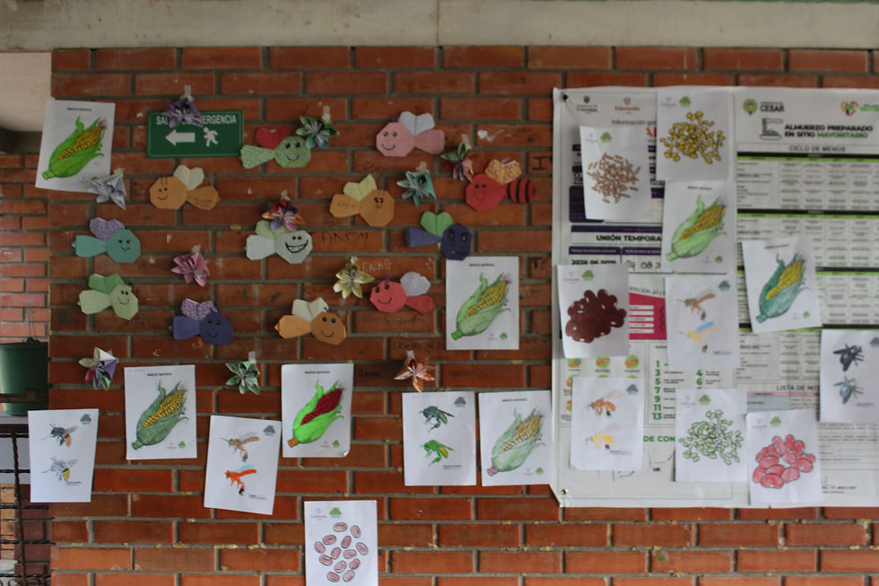 Figuras en origami de abejas y flores y dibujos de maíces. abejas nativas y fríjoles realizados por los niños y niñas que asistieron a la actividad.