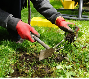 Cornhole Boards (7).png