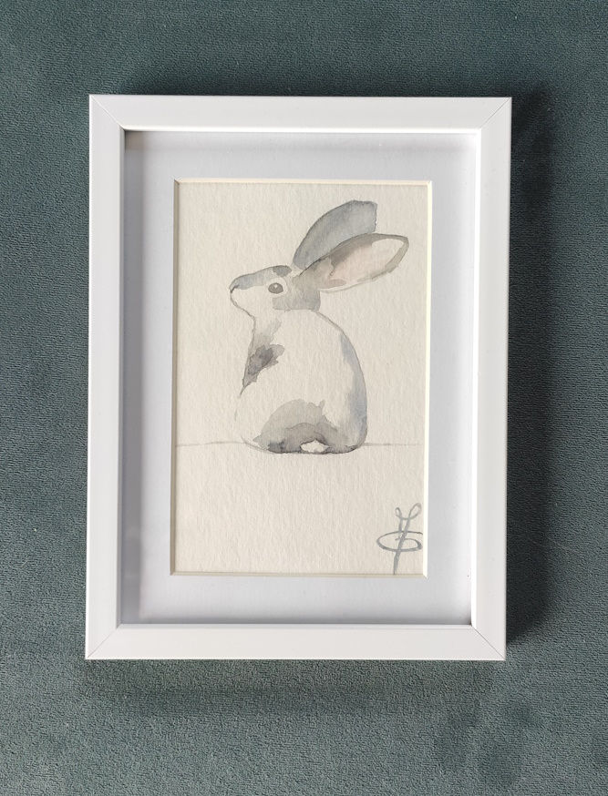 Lapin gris et blanc