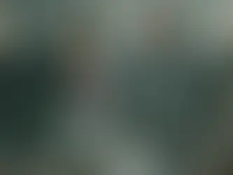 The Walking Dead -Temporada 11 recta final