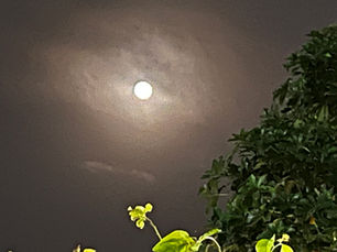 Opening Up to the Bigger Picture