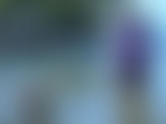 Sea Anemones in Key Largo FL