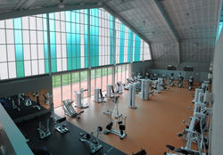 Gimnasio