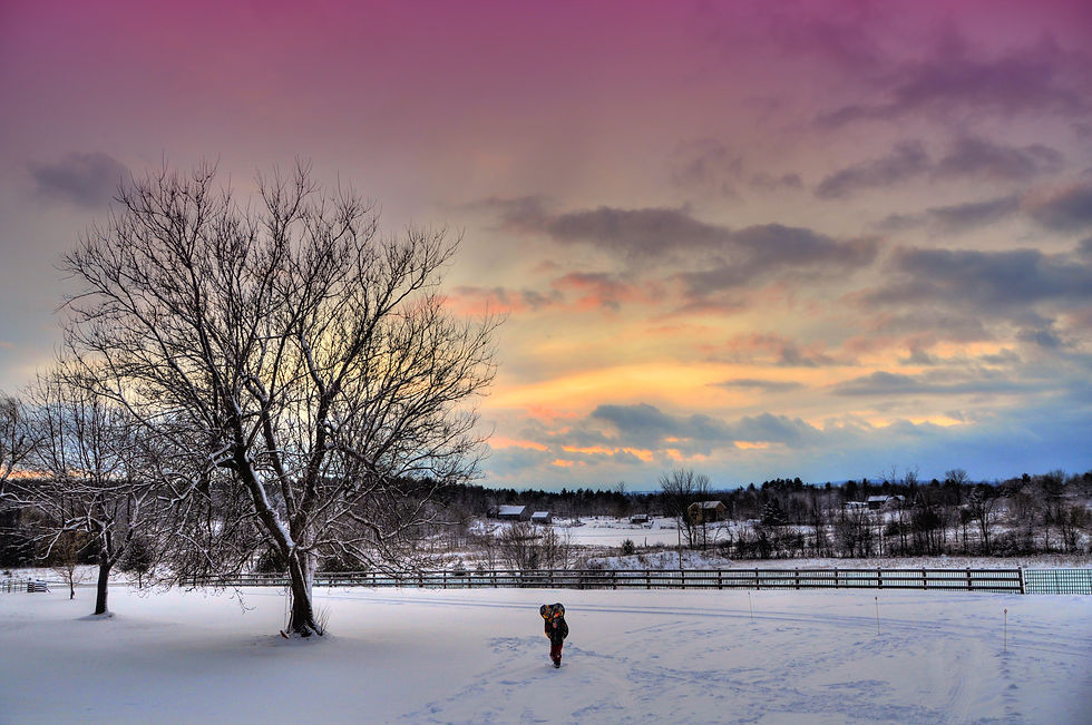 Winter in the Country.jpg