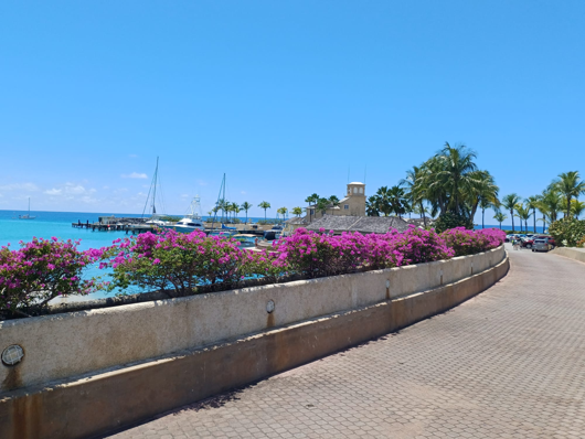 Port St Charles waterfront with colourful bougainvillea in Barbados
