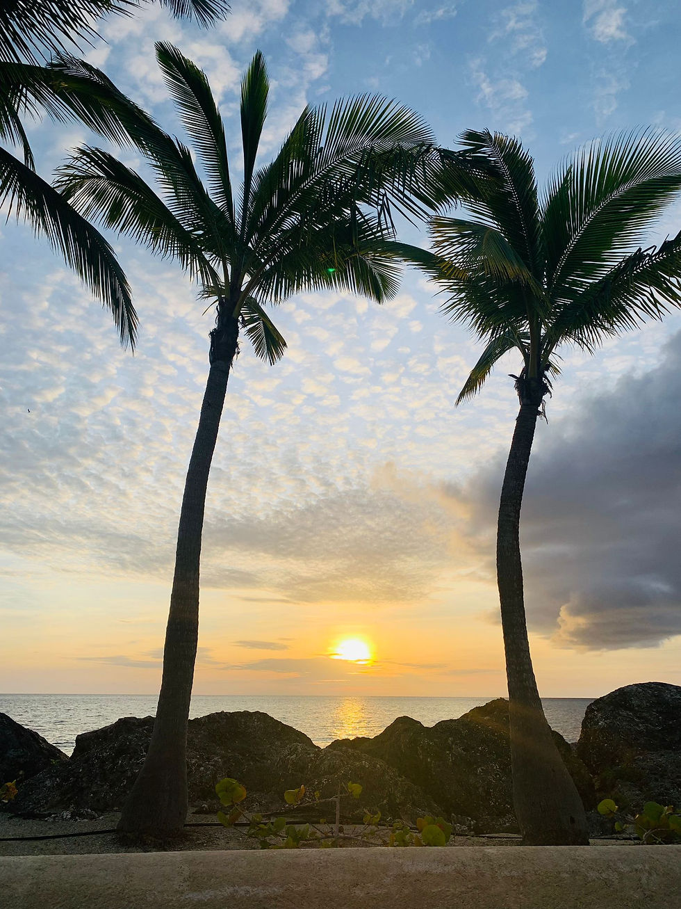 West Coast sunsets are one of our favourite parts of Barbados