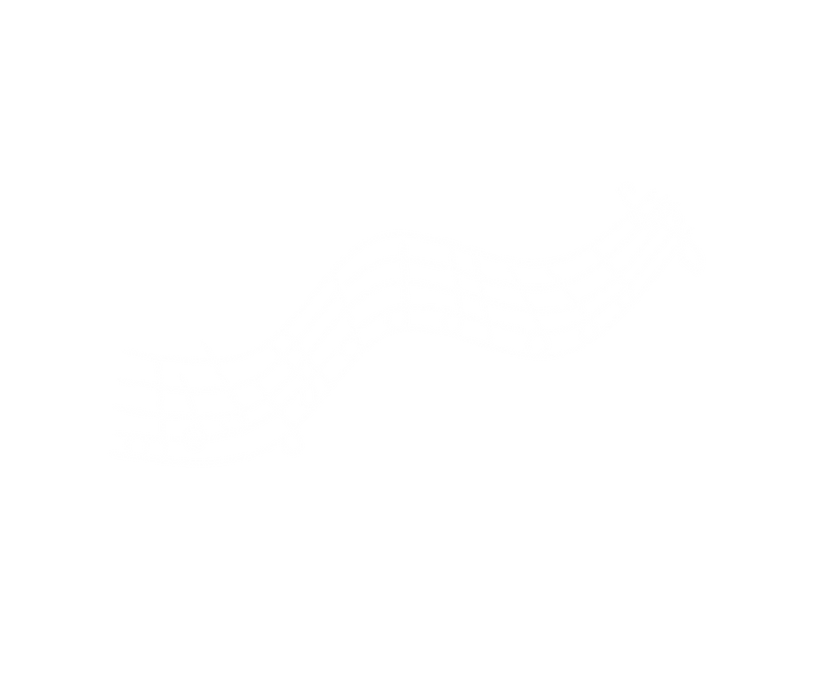 Overskrift (6).png