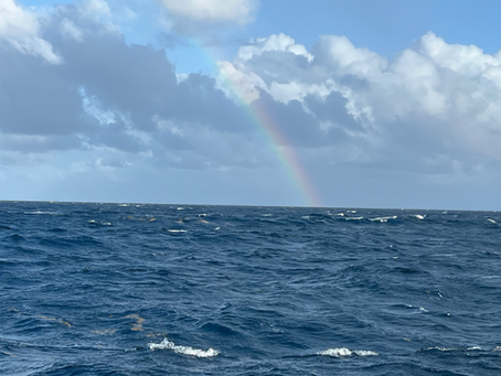 Martinique & Grenada: Repairs, Rain, and Prepping . . .