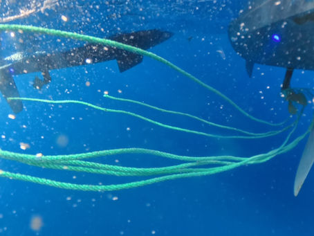 Ropes, buoys and propellers