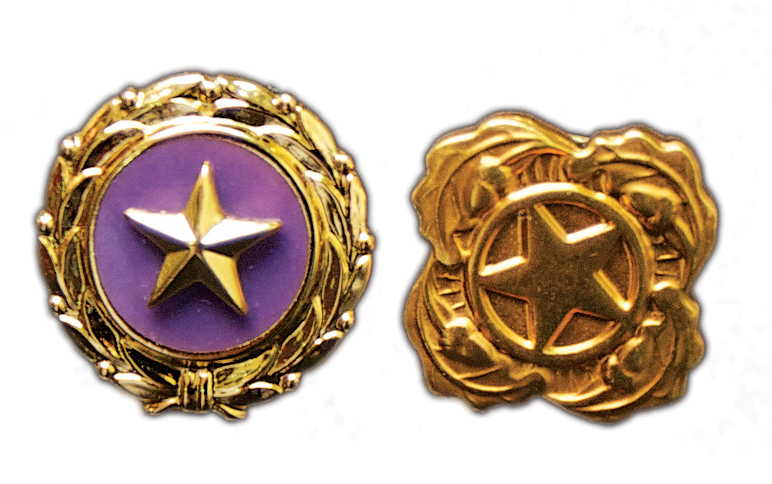 Recognizing Gold Star Fathers