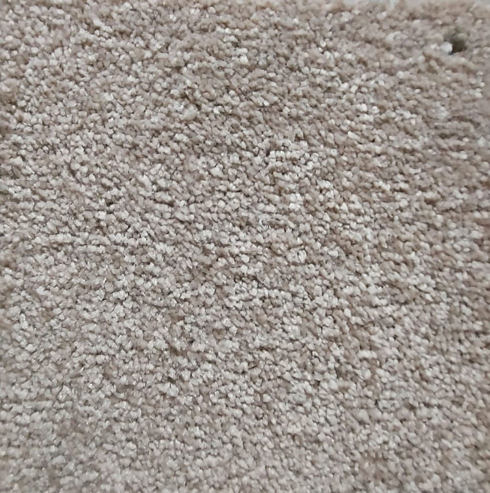 alfombras para sala beige