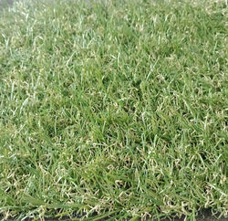 pasto sintetico precio m2