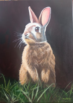 Le lapin