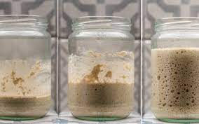 Gesundes Sauerteigbrot zu Hause selber backen
