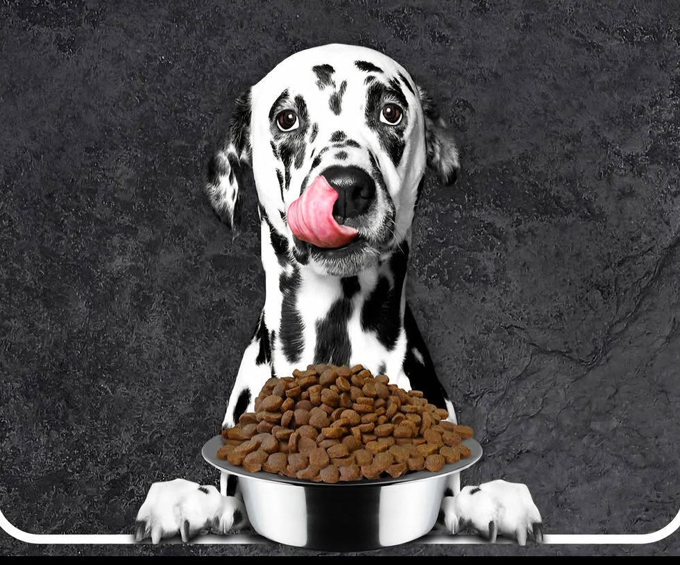 Thumbnail: MR MEATY Health & Digestion, Complete Dry Dog Food Veal with Turkey M 3kg