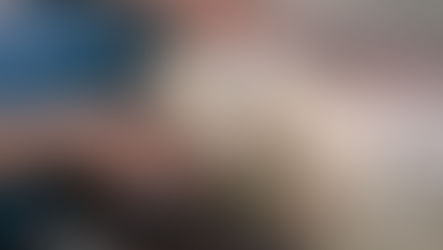 Is It a Good Idea to Have a Pet Sitter When My Pet Is Elderly?