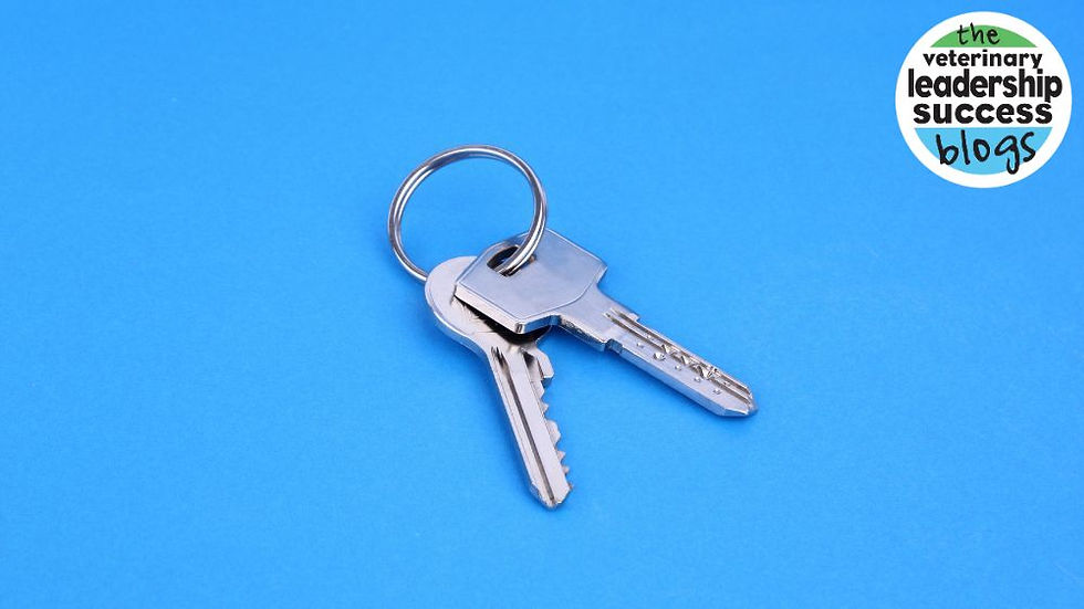 Veterinary Practice Ownership: The Good The Bad and The Ugly
