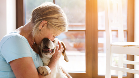 A Hospice Vet's View On Pet Bereavement