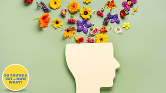 Veterinary Mental Health: A Self-Care Guide For Vets