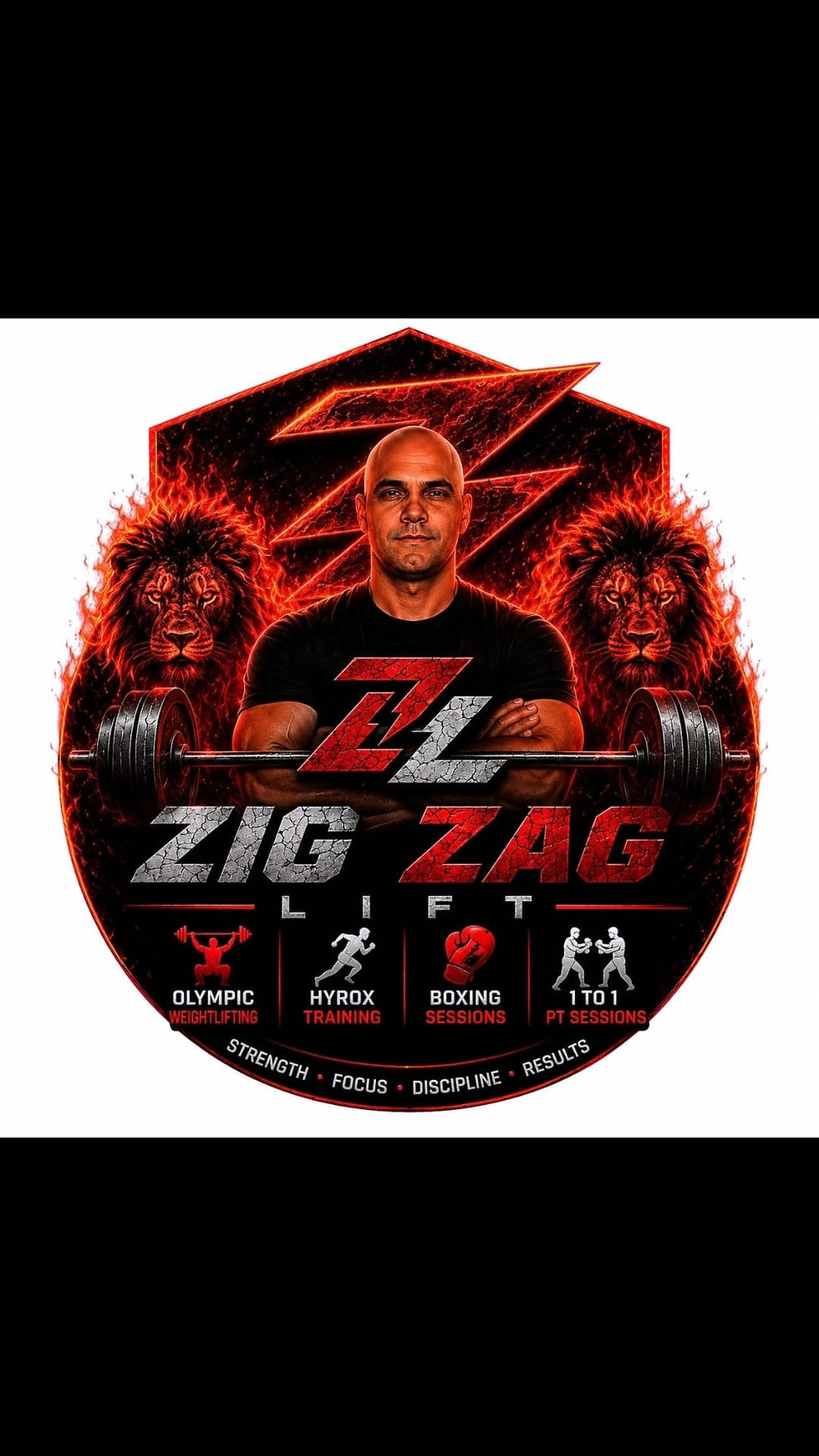 zig zag logo white.jpeg