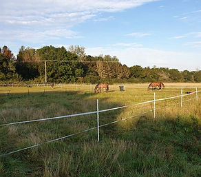 IMG-20201015-WA0005.jpg