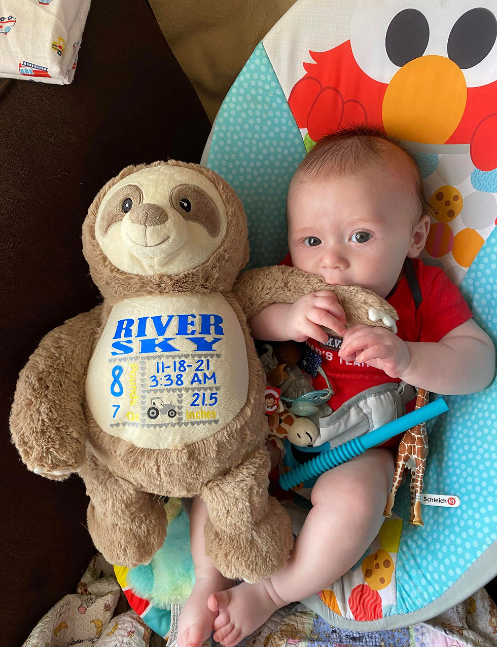 Thumbnail: Birth Announcement Sloth (short legged)