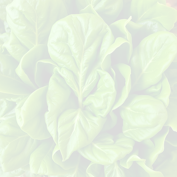 fresh spinach gren leaf.png