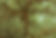 99bdd9e1d2fe955baf83655db7ab19f1.jpg