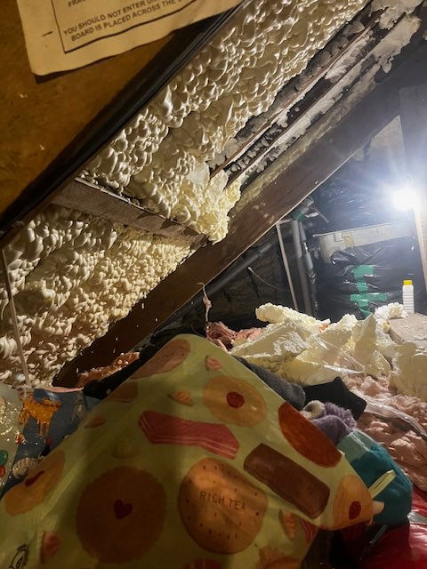 image - 2025-04-28T121602.599.jpeg