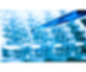 Pipetting reagents into ELISA plate.jpg