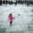 Pigeon chasing expert in St. Mark's Square. Gross