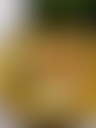 Curry Potatoes