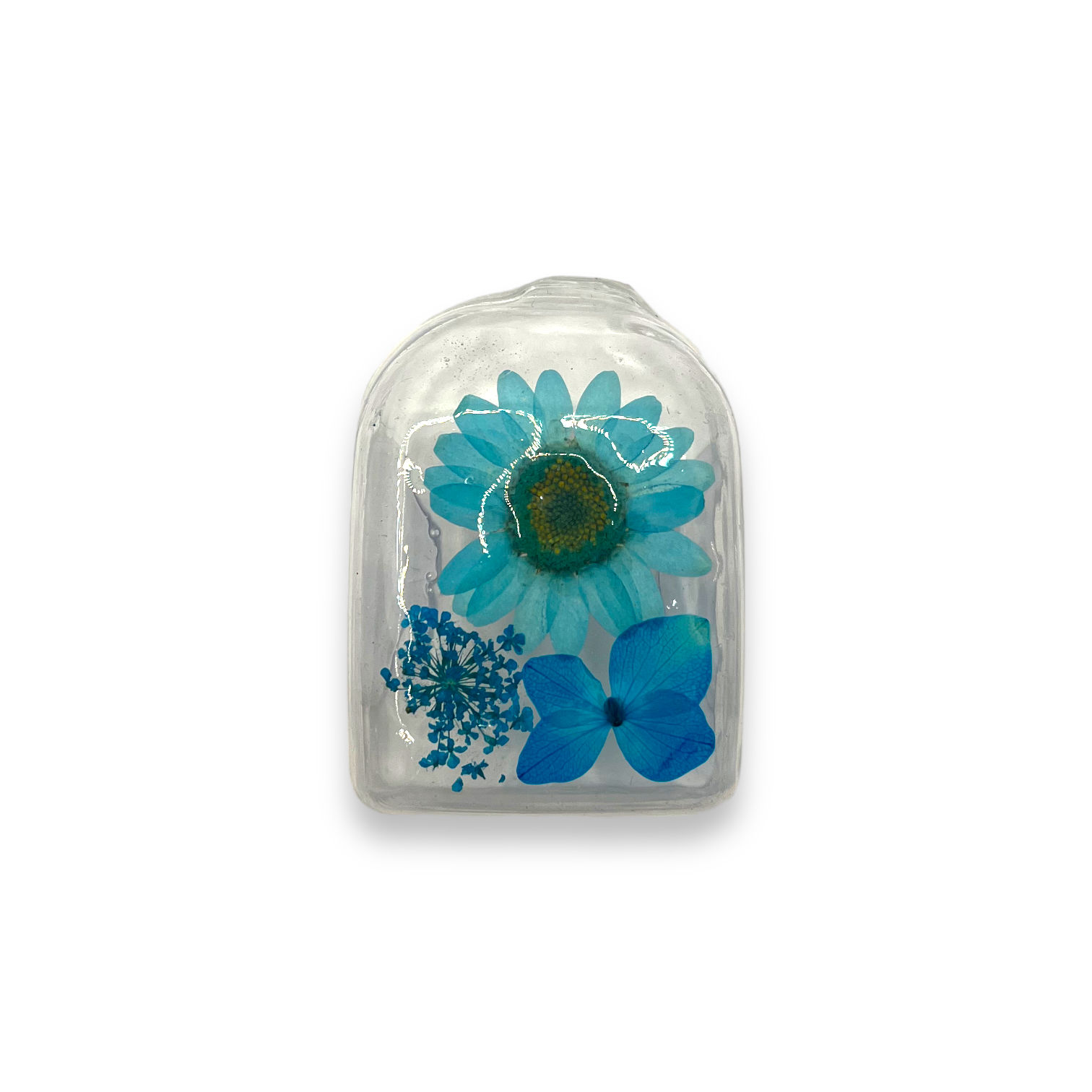 Coque POD Bloom - Hiver