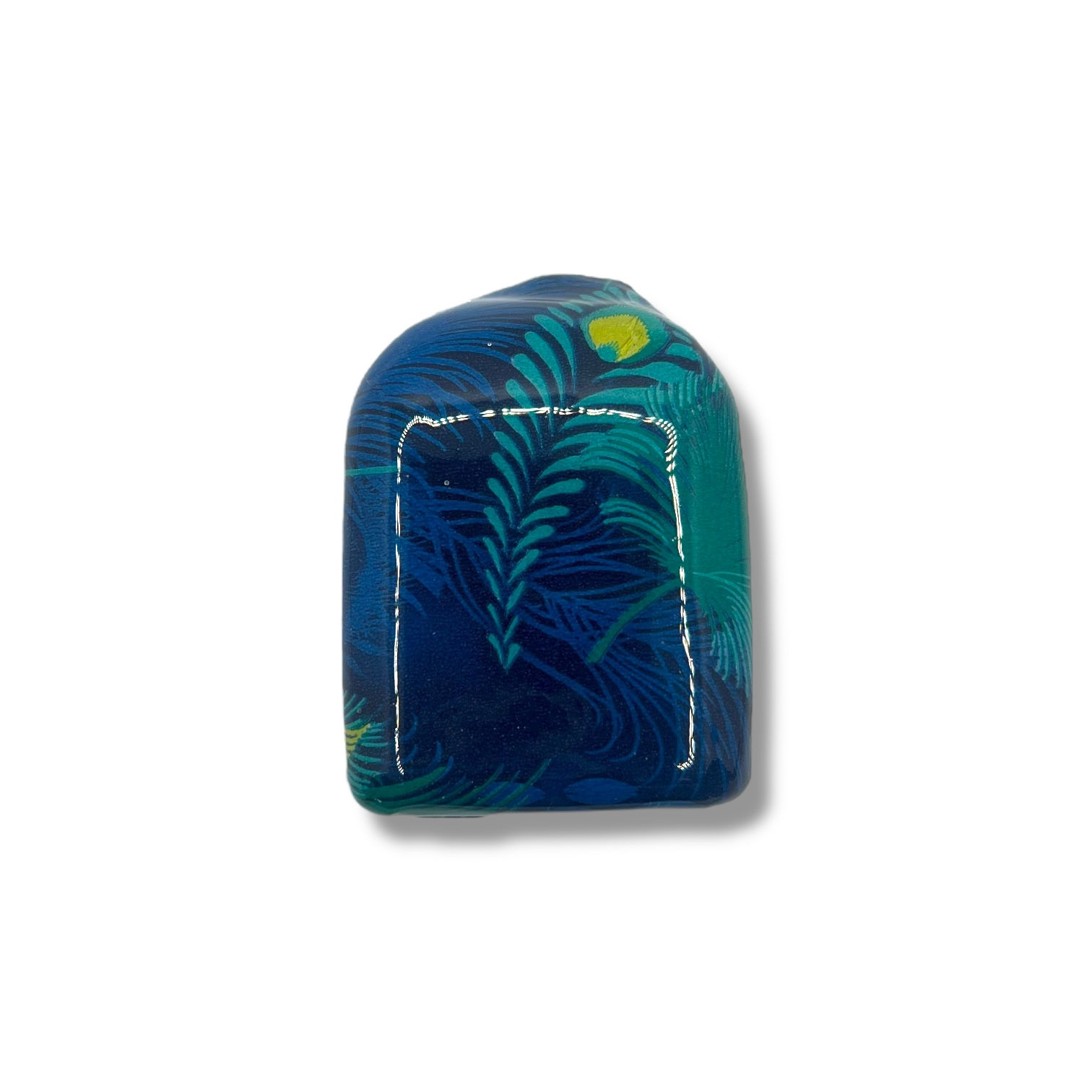 Coque POD - Plume de Paon