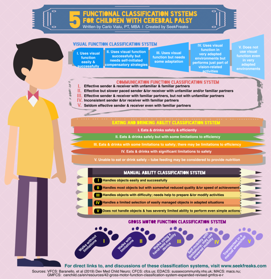 Visual Function Classification System for children with Cerebral Palsy Visual Function Classification System for children with Cerebral Palsy