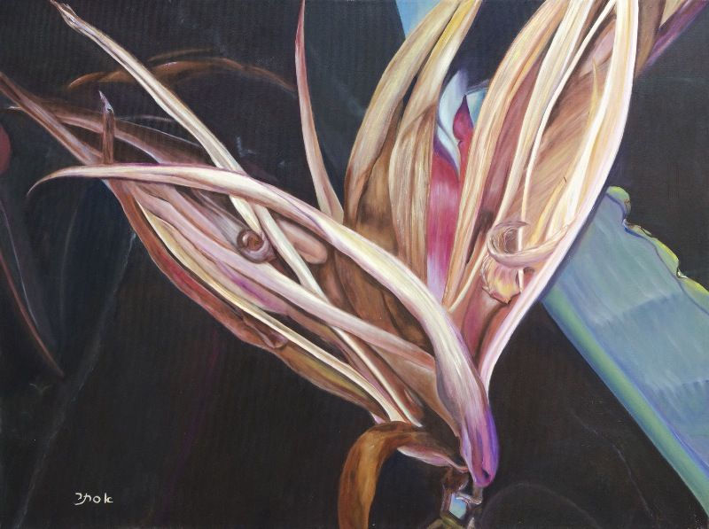 Bird of Paradise Flower - Aging Gracefully