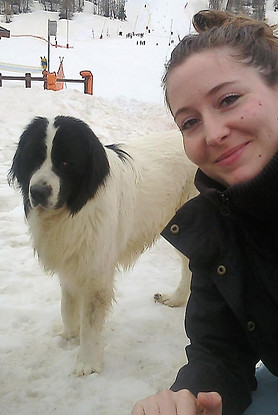 Formation éducateur canin en ligne