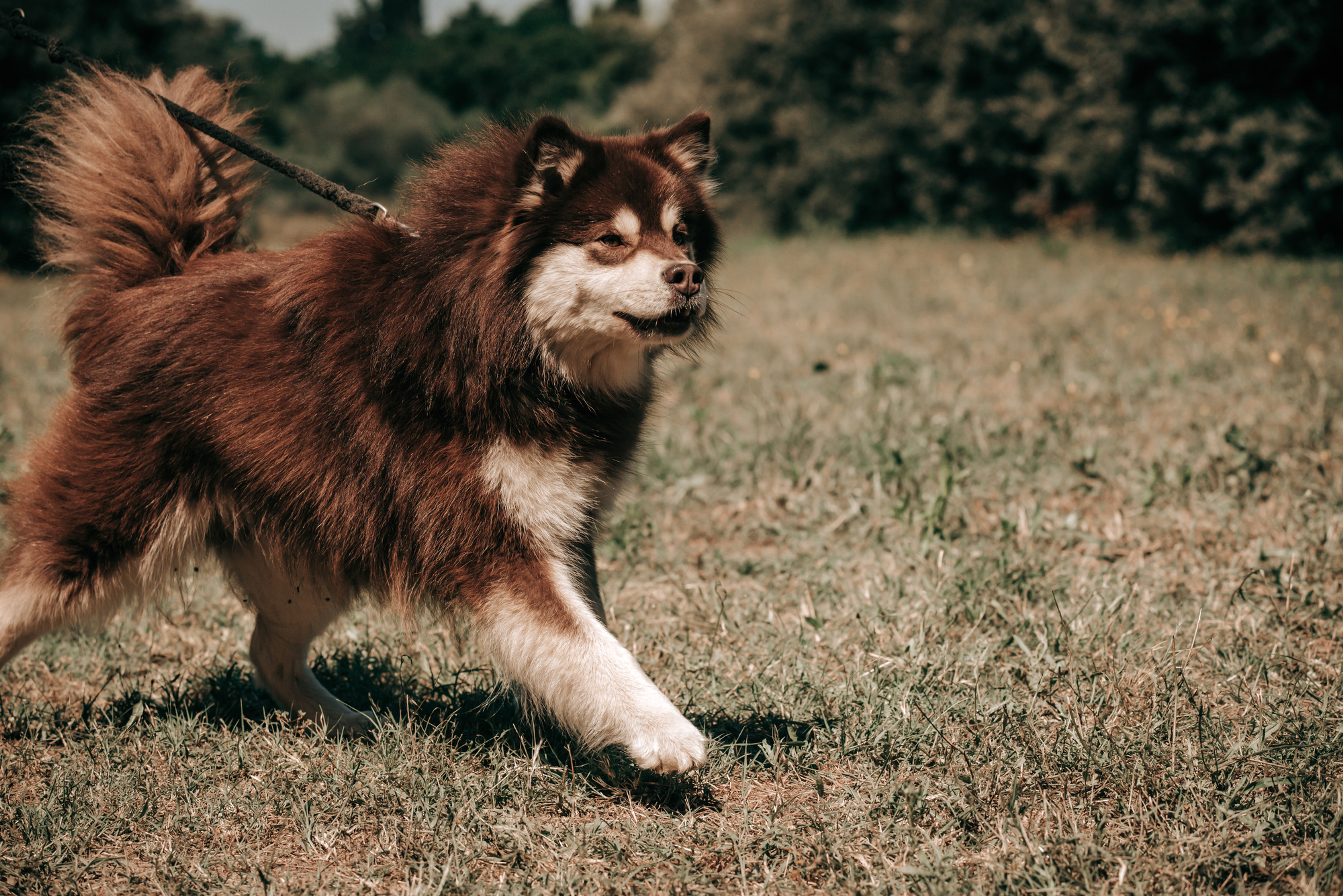 - Webinaire - Les Réactivités par le Conditionnement Classique