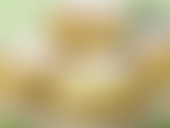 Faschingszeit ist Krapfenzeit