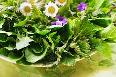 Basisrezept - Wildgemüse