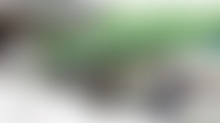 Earn €200 when you refer a friend to BVI!