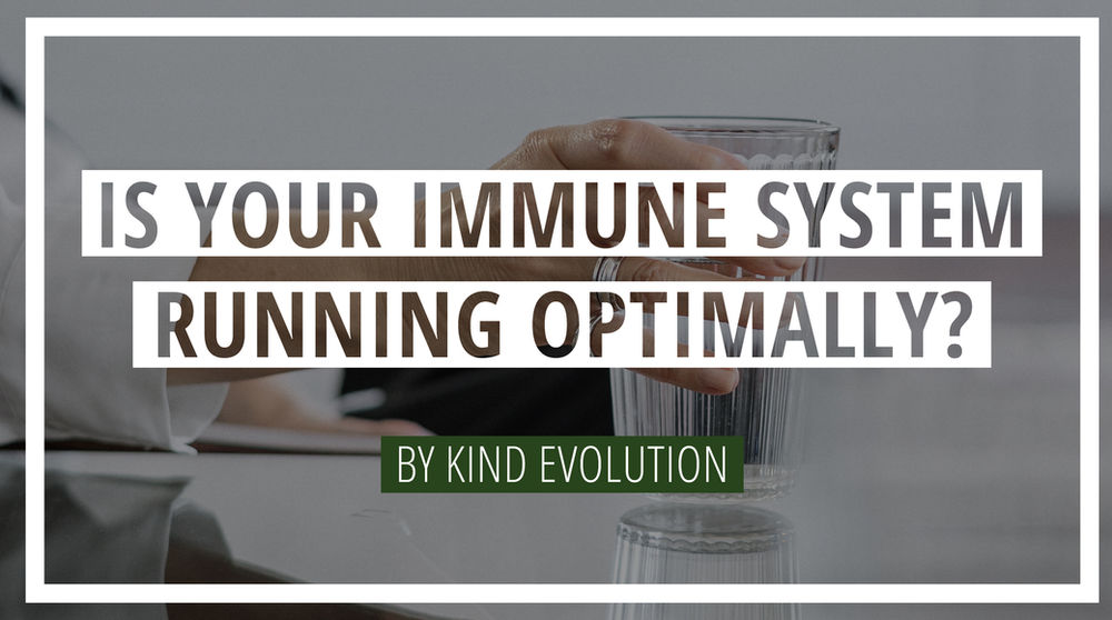 Is your immune system running optimally?