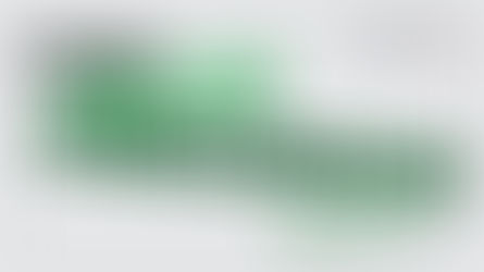 Family Reunification Visa